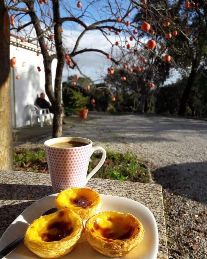 Quinta Da Barroquinha Pensionat Vale de Prazeres Exteriör bild